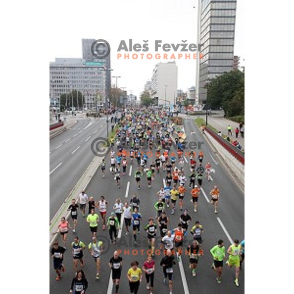 19. Volkswagen Ljubljana Marathon in Ljubljana, Slovenia on October 26, 2014