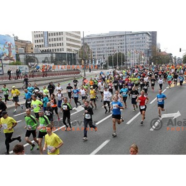 19. Volkswagen Ljubljana Marathon in Ljubljana, Slovenia on October 26, 2014