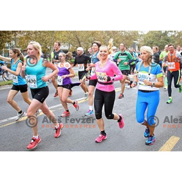 19. Volkswagen Ljubljana Marathon in Ljubljana, Slovenia on October 26, 2014