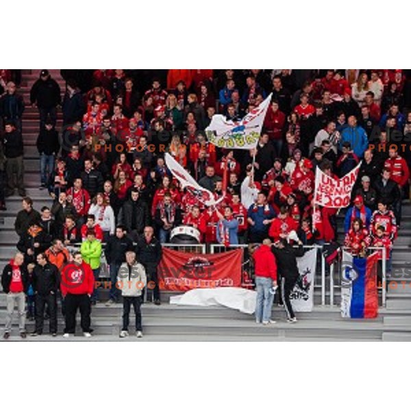 Fans during ice hockey match of Slovenian National League in Season 2014/15 between HDD SIJ Acroni Jesenice and HDD Telemach Olimpija, played in Podmezakla hall, Jesenice, Slovenia, on October 28th, 2014