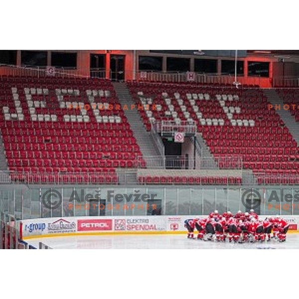 Team Jesenice during ice hockey match of Slovenian National League in Season 2014/15 between HDD SIJ Acroni Jesenice and HDD Telemach Olimpija, played in Podmezakla hall, Jesenice, Slovenia, on October 28th, 2014