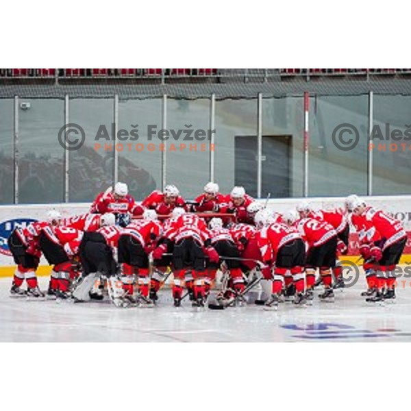 Team Jesenice during ice hockey match of Slovenian National League in Season 2014/15 between HDD SIJ Acroni Jesenice and HDD Telemach Olimpija, played in Podmezakla hall, Jesenice, Slovenia, on October 28th, 2014