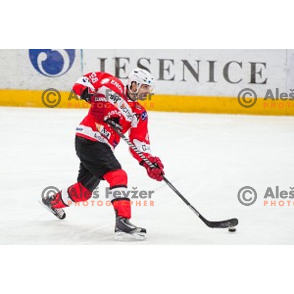 Luka Tosic of Jesenice in action during ice hockey match of Slovenian National League in Season 2014/15 between HDD SIJ Acroni Jesenice and HDD Telemach Olimpija, played in Podmezakla hall, Jesenice, Slovenia, on October 28th, 2014