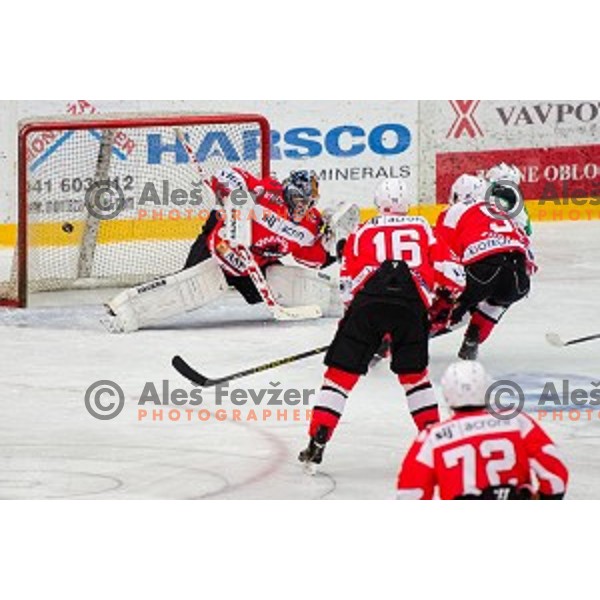 Action during ice hockey match of Slovenian National League in Season 2014/15 between HDD SIJ Acroni Jesenice and HDD Telemach Olimpija, played in Podmezakla hall, Jesenice, Slovenia, on October 28th, 2014