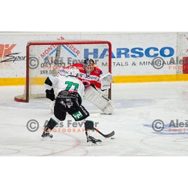Action during ice hockey match of Slovenian National League in Season 2014/15 between HDD SIJ Acroni Jesenice and HDD Telemach Olimpija, played in Podmezakla hall, Jesenice, Slovenia, on October 28th, 2014