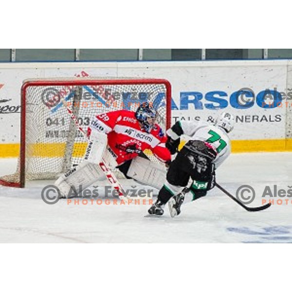 Action during ice hockey match of Slovenian National League in Season 2014/15 between HDD SIJ Acroni Jesenice and HDD Telemach Olimpija, played in Podmezakla hall, Jesenice, Slovenia, on October 28th, 2014