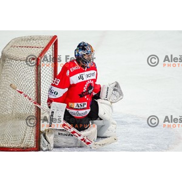 Jure Pavlic of Jesenice in action during ice hockey match of Slovenian National League in Season 2014/15 between HDD SIJ Acroni Jesenice and HDD Telemach Olimpija, played in Podmezakla hall, Jesenice, Slovenia, on October 28th, 2014