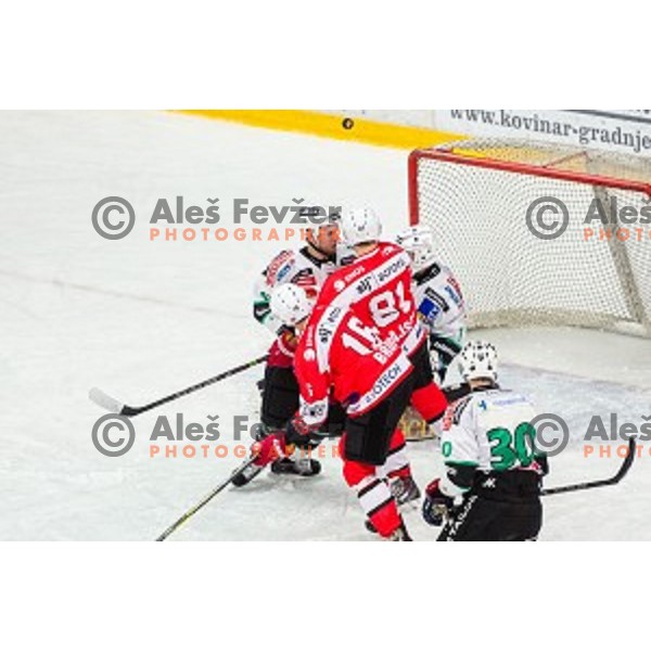 Action during ice hockey match of Slovenian National League in Season 2014/15 between HDD SIJ Acroni Jesenice and HDD Telemach Olimpija, played in Podmezakla hall, Jesenice, Slovenia, on October 28th, 2014