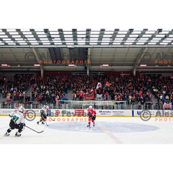 Action during ice hockey match of Slovenian National League in Season 2014/15 between HDD SIJ Acroni Jesenice and HDD Telemach Olimpija, played in Podmezakla Hall, Jesenice, Slovenia, on October 28, 2014