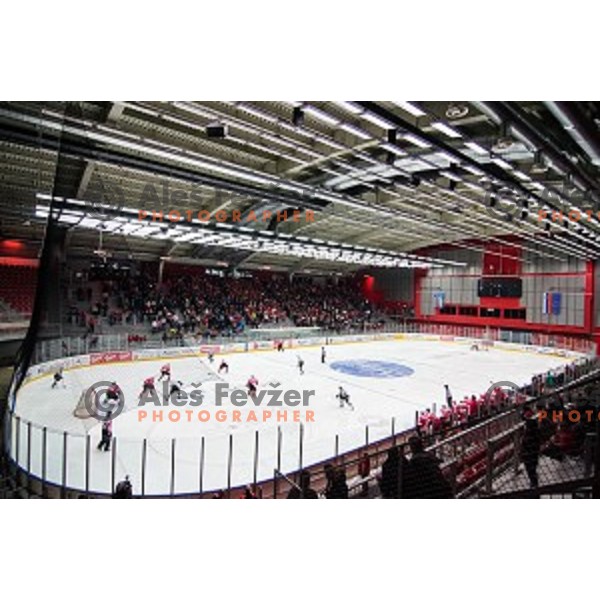 Action during ice hockey match of Slovenian National League in Season 2014/15 between HDD SIJ Acroni Jesenice and HDD Telemach Olimpija, played in Podmezakla Hall, Jesenice, Slovenia, on October 28, 2014