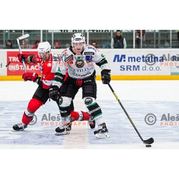 Rok Leber of Olimpija in action during ice hockey match of Slovenian National League in Season 2014/15 between HDD SIJ Acroni Jesenice and HDD Telemach Olimpija, played in Podmezakla Hall, Jesenice, Slovenia, on October 28, 2014