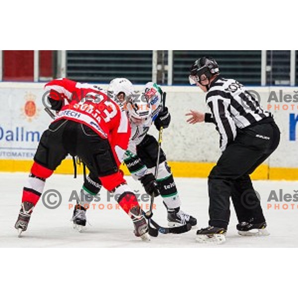 Urban Sodja of Jesenice in action during ice hockey match of Slovenian National League in Season 2014/15 between HDD SIJ Acroni Jesenice and HDD Telemach Olimpija, played in Podmezakla Hall, Jesenice, Slovenia, on October 28, 2014
