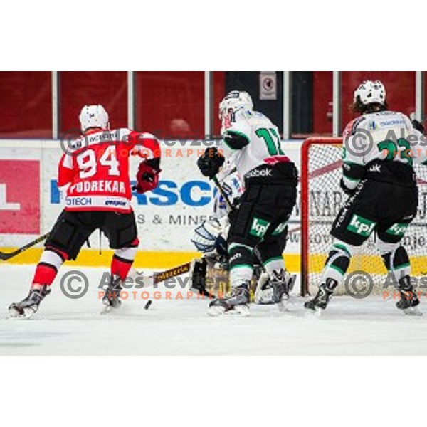 in action during ice hockey match of Slovenian National League in Season 2014/15 between HDD SIJ Acroni Jesenice and HDD Telemach Olimpija, played in Podmezakla Hall, Jesenice, Slovenia, on October 28, 2014