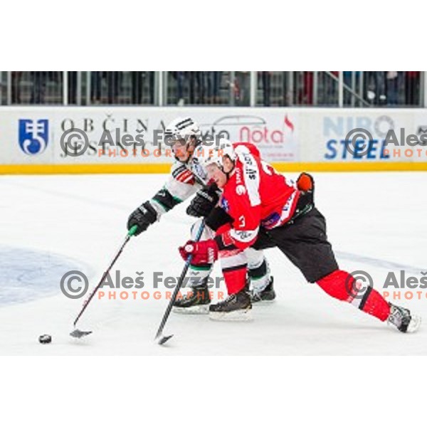 in action during ice hockey match of Slovenian National League in Season 2014/15 between HDD SIJ Acroni Jesenice and HDD Telemach Olimpija, played in Podmezakla Hall, Jesenice, Slovenia, on October 28, 2014