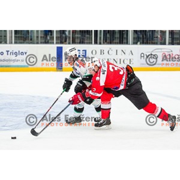 in action during ice hockey match of Slovenian National League in Season 2014/15 between HDD SIJ Acroni Jesenice and HDD Telemach Olimpija, played in Podmezakla Hall, Jesenice, Slovenia, on October 28, 2014