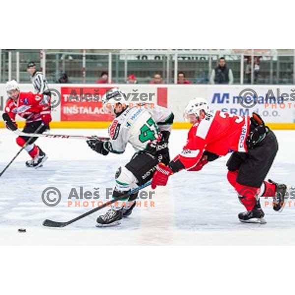 in action during ice hockey match of Slovenian National League in Season 2014/15 between HDD SIJ Acroni Jesenice and HDD Telemach Olimpija, played in Podmezakla Hall, Jesenice, Slovenia, on October 28, 2014