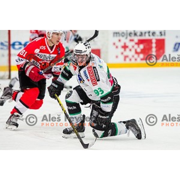 Luka Kalan of Olimpija in action during ice hockey match of Slovenian National League in Season 2014/15 between HDD SIJ Acroni Jesenice and HDD Telemach Olimpija, played in Podmezakla Hall, Jesenice, Slovenia, on October 28, 2014