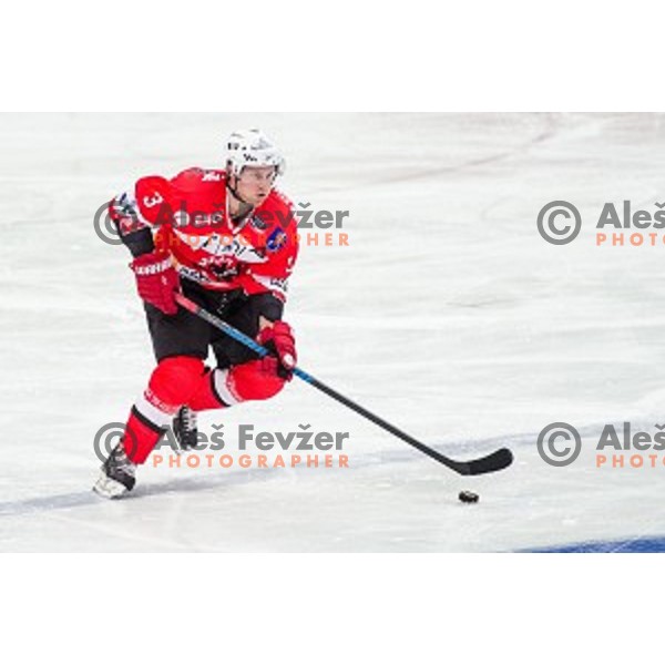 Ziga Svete of Jesenice in action during ice hockey match of Slovenian National League in Season 2014/15 between HDD SIJ Acroni Jesenice and HDD Telemach Olimpija, played in Podmezakla Hall, Jesenice, Slovenia, on October 28, 2014