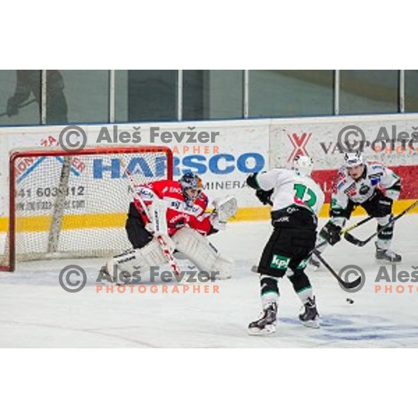 Jure Pavlic of Jesenice, Nejc Berlisk and Rok Leber of Olimpija in action during ice hockey match of Slovenian National League in Season 2014/15 between HDD SIJ Acroni Jesenice and HDD Telemach Olimpija, played in Podmezakla Hall, Jesenice, Slovenia, on October 28, 2014