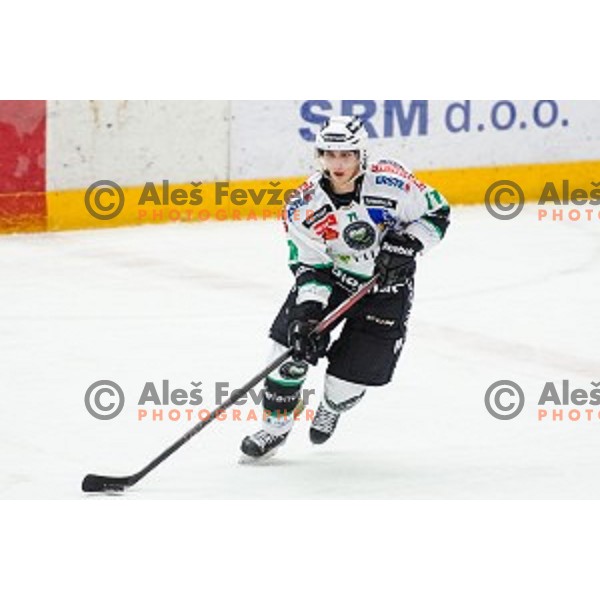 Jaka Zdesar of Olimpija in action during ice hockey match of Slovenian National League in Season 2014/15 between HDD SIJ Acroni Jesenice and HDD Telemach Olimpija, played in Podmezakla Hall, Jesenice, Slovenia, on October 28, 2014