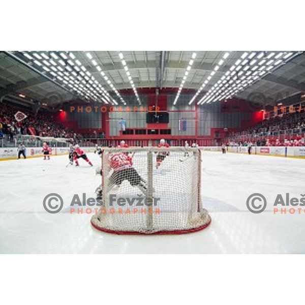 Action during ice hockey match of Slovenian National League in Season 2014/15 between HDD SIJ Acroni Jesenice and HDD Telemach Olimpija, played in Podmezakla Hall, Jesenice, Slovenia, on October 28, 2014