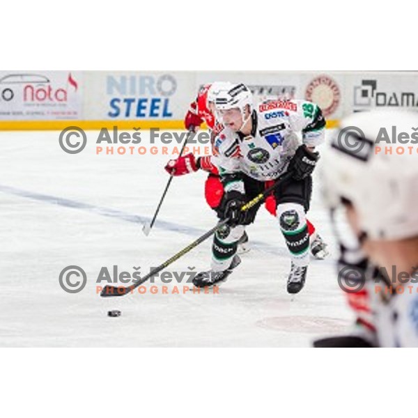 Rok Leber of Olimpija in action during ice hockey match of Slovenian National League in Season 2014/15 between HDD SIJ Acroni Jesenice and HDD Telemach Olimpija, played in Podmezakla Hall, Jesenice, Slovenia, on October 28, 2014