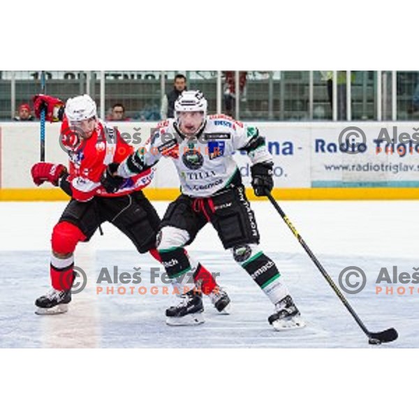 Rok Leber of Olimpija in action during ice hockey match of Slovenian National League in Season 2014/15 between HDD SIJ Acroni Jesenice and HDD Telemach Olimpija, played in Podmezakla Hall, Jesenice, Slovenia, on October 28, 2014