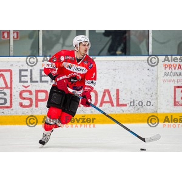 During ice hockey match of Slovenian National League in Season 2014/15 between HDD SIJ Acroni Jesenice and HDD Telemach Olimpija, played in Podmezakla Hall, Jesenice, Slovenia, on October 28, 2014