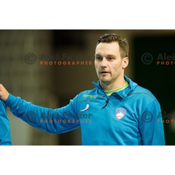 Luka Zvizej in action during football match Slovenia - Slovakia, EHF Euro Championship qualifying Bonifika , Koper , 29.10.2014