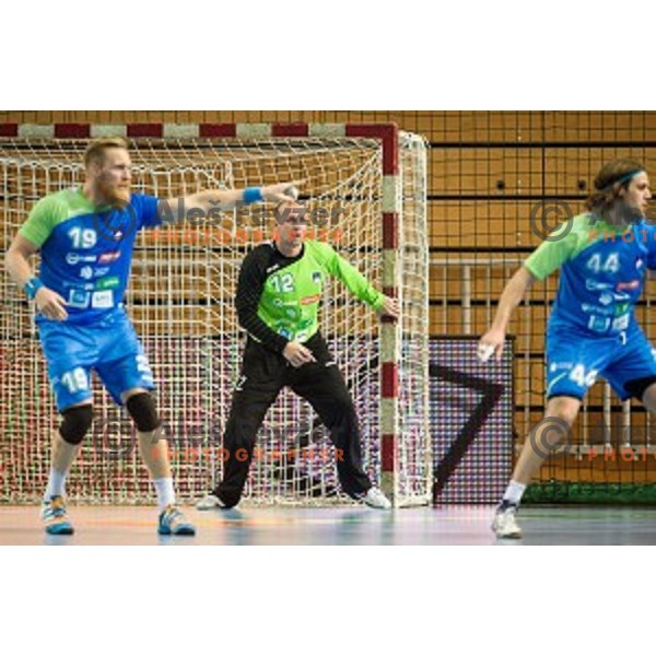 Gorazd Skof in action during football match Slovenia - Slovakia, EHF Euro Championship qualifying Bonifika , Koper , 29.10.2014