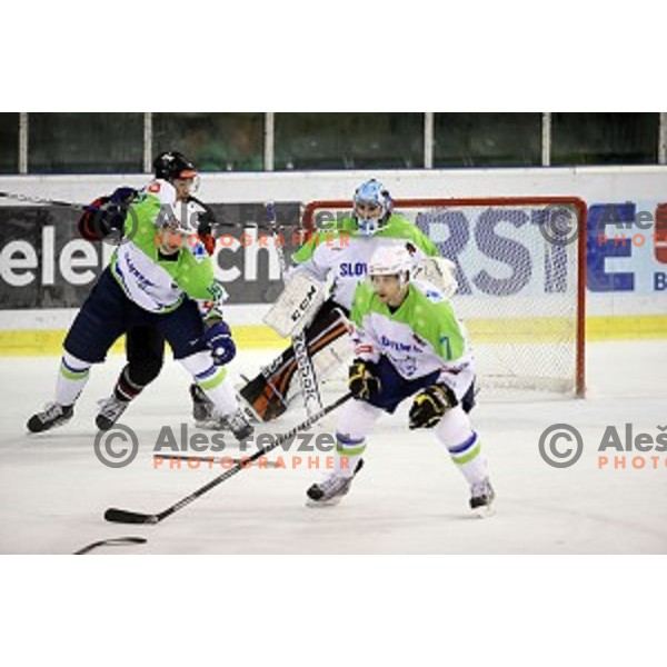 Jakob Milovanovic of Slovenia in action during ice-hockey match Slovenia-Japan at Euro Ice Hockey Challenge Tournament in Hala Tivoli, Ljubljana, Slovenia on November 6, 2014