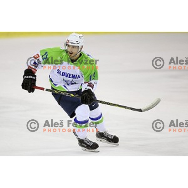 of Slovenia in action during ice-hockey match Slovenia-Japan at Euro Ice Hockey Challenge Tournament in Hala Tivoli, Ljubljana, Slovenia on November 6, 2014