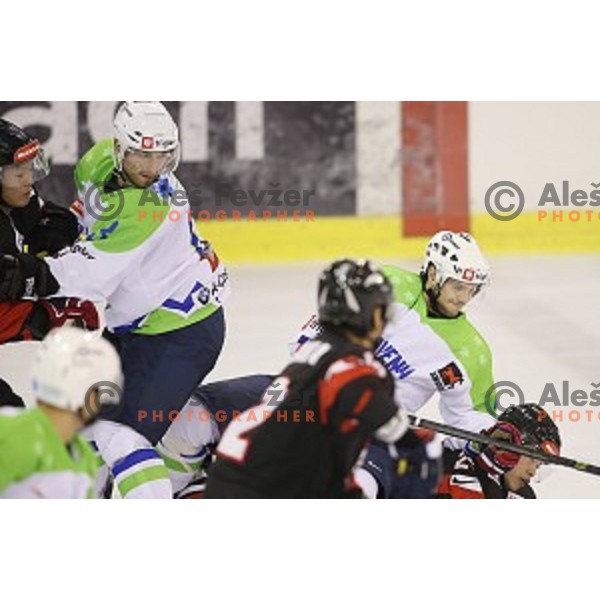 of Slovenia in action during ice-hockey match Slovenia-Japan at Euro Ice Hockey Challenge Tournament in Hala Tivoli, Ljubljana, Slovenia on November 6, 2014