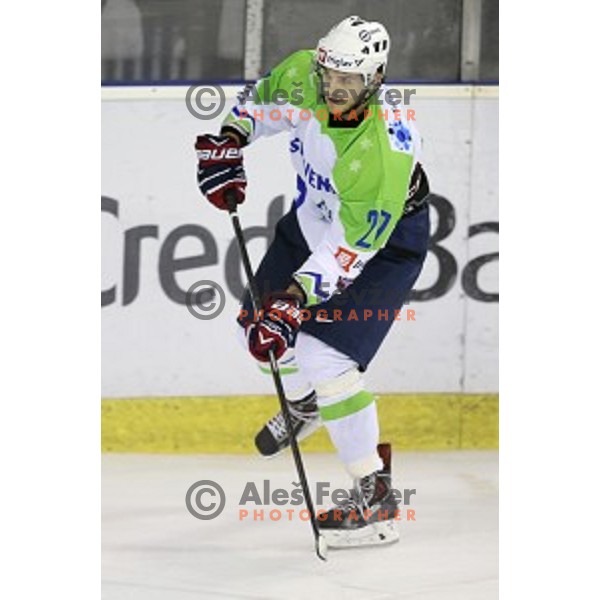 Gal Koren of Slovenia in action during ice-hockey match Slovenia-Japan at Euro Ice Hockey Challenge Tournament in Hala Tivoli, Ljubljana, Slovenia on November 6, 2014