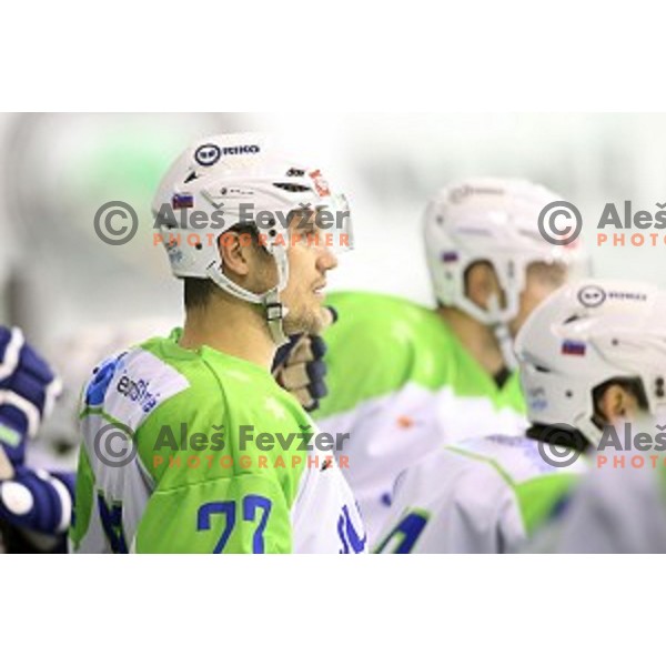 Marcel Rodman of Slovenia in action during ice-hockey match Slovenia-Japan at Euro Ice Hockey Challenge Tournament in Hala Tivoli, Ljubljana, Slovenia on November 6, 2014