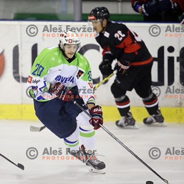 Gal Koren of Slovenia in action during ice-hockey match Slovenia-Japan at Euro Ice Hockey Challenge Tournament in Hala Tivoli, Ljubljana, Slovenia on November 6, 2014