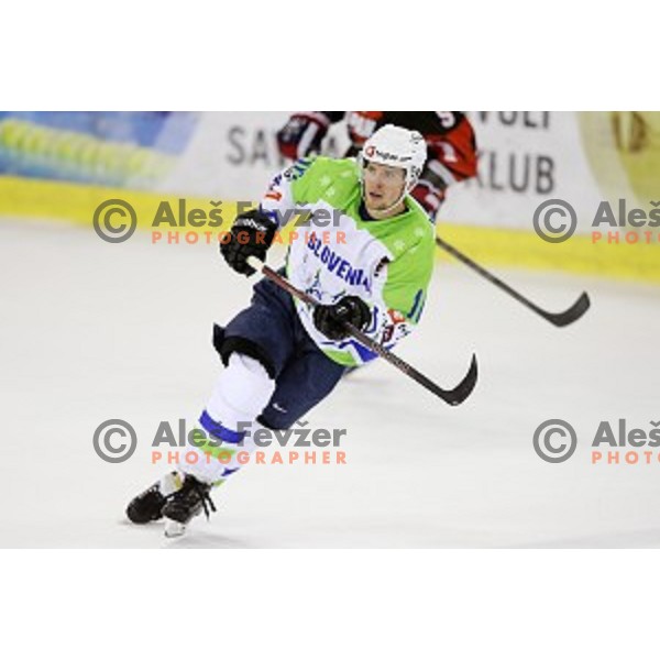 Ales Music of Slovenia in action during ice-hockey match Slovenia-Japan at Euro Ice Hockey Challenge Tournament in Hala Tivoli, Ljubljana, Slovenia on November 6, 2014