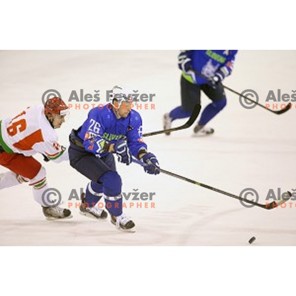Jan Urbas of Slovenia in action during ice-hockey match Slovenia-Belarus at Euro Ice Hockey Challenge Tournament in Hala Tivoli, Ljubljana, Slovenia on November 7, 2014