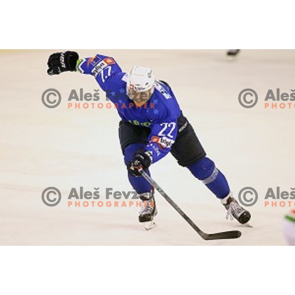 Marcel Rodman of Slovenia in action during ice-hockey match Slovenia-Belarus at Euro Ice Hockey Challenge Tournament in Hala Tivoli, Ljubljana, Slovenia on November 7, 2014