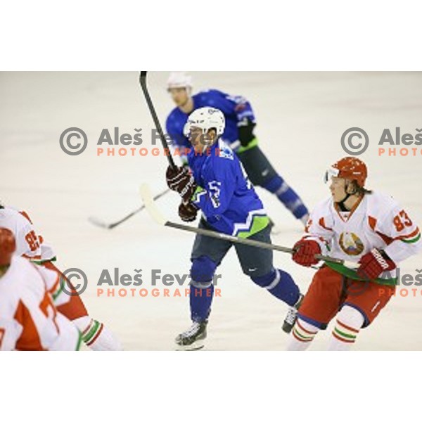of Slovenia in action during ice-hockey match Slovenia-Belarus at Euro Ice Hockey Challenge Tournament in Hala Tivoli, Ljubljana, Slovenia on November 7, 2014