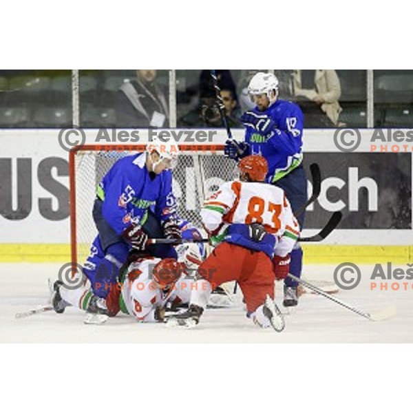Robert Sabolic of Slovenia in action during ice-hockey match Slovenia-Belarus at Euro Ice Hockey Challenge Tournament in Hala Tivoli, Ljubljana, Slovenia on November 7, 2014