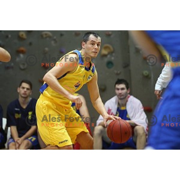 Dario Krejic of Sencur GGD in action during Telemach league basketball match Sencur Gorenjska gradbena druzba-Hopsi Polzela, played in Sencur, Slovenia on November 8, 2014