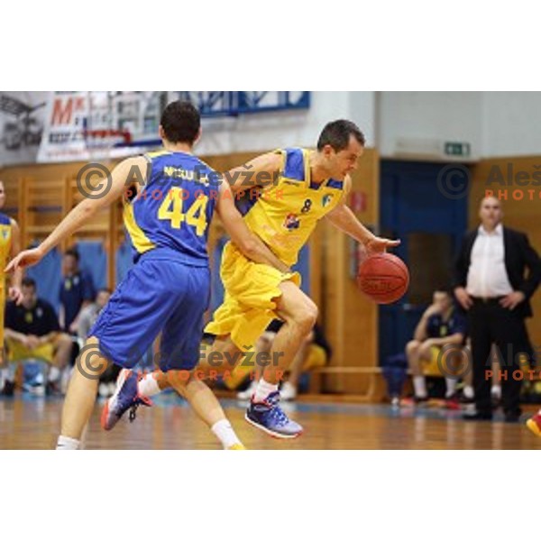 Dario Krejic of Sencur GGD in action during Telemach league basketball match Sencur Gorenjska gradbena druzba-Hopsi Polzela, played in Sencur, Slovenia on November 8, 2014