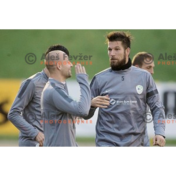 Bostjan Cesar of Slovenia National football team during practice session at ZAK stadium, Ljubljana on November 10, 2014