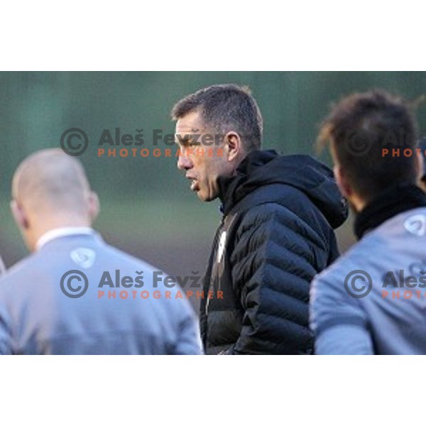 Srecko Katanec, head coach of Slovenia National football team during practice session at ZAK stadium, Ljubljana on November 10, 2014