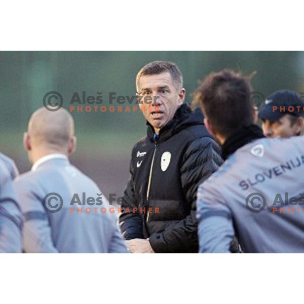 Srecko Katanec, head coach of Slovenia National football team during practice session at ZAK stadium, Ljubljana on November 10, 2014