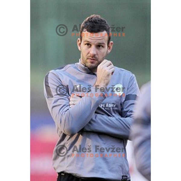 Samir Handanovic of Slovenia National football team during practice session at ZAK stadium, Ljubljana on November 10, 2014