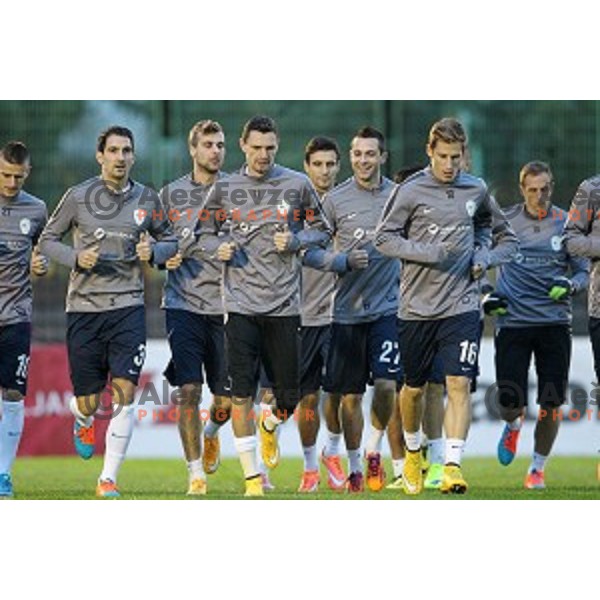 Milivoje Novakovic of Slovenia National football team during practice session at ZAK stadium, Ljubljana on November 10, 2014
