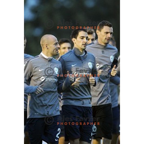 Miso Brecko, Branko Ilic and Milivoje Novakovic of Slovenia National football team during practice session at ZAK stadium, Ljubljana on November 10, 2014