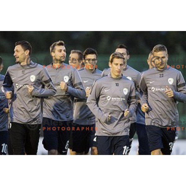 Milivoje Novakovic,Vlater Birsa, Ales Mertelj of Slovenia National football team during practice session at ZAK stadium, Ljubljana on November 10, 2014